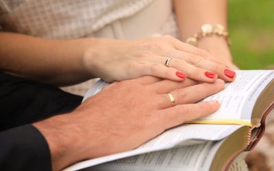 widow remarriage online