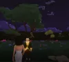 Metaverse marriage