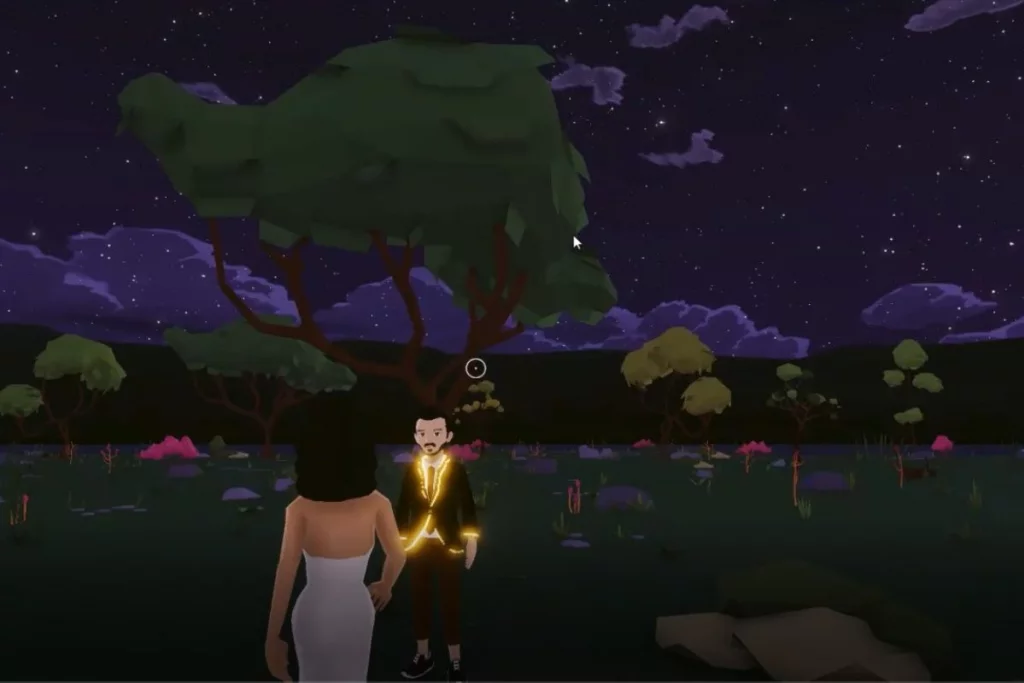 Metaverse marriage